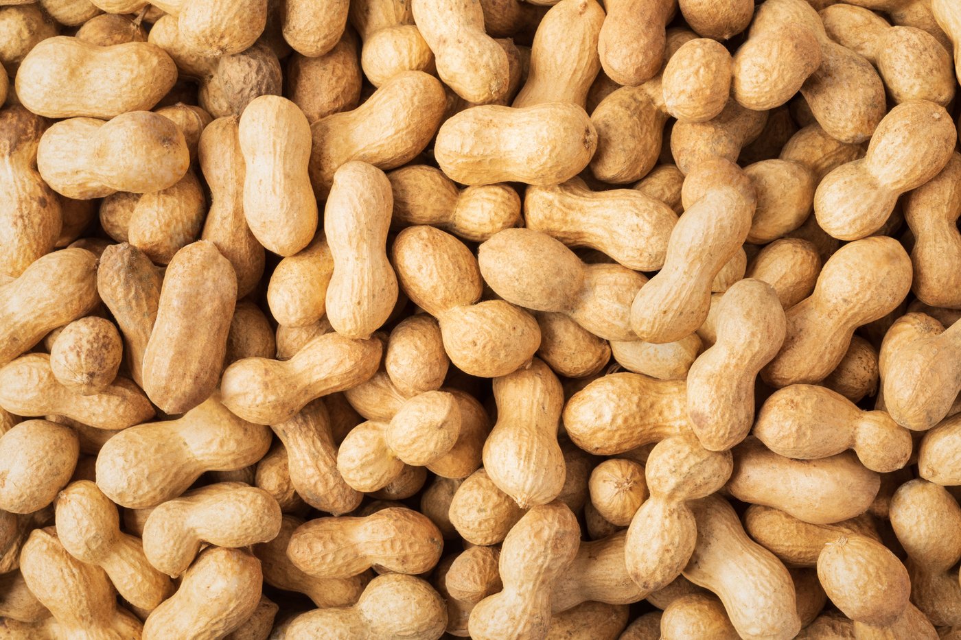 In Shell Organic Raw Peanuts Peanuts